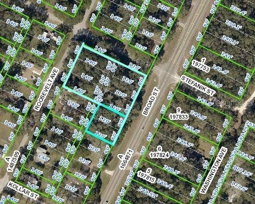 Property photo for 0 BROAD STREET, Brooksville, FL