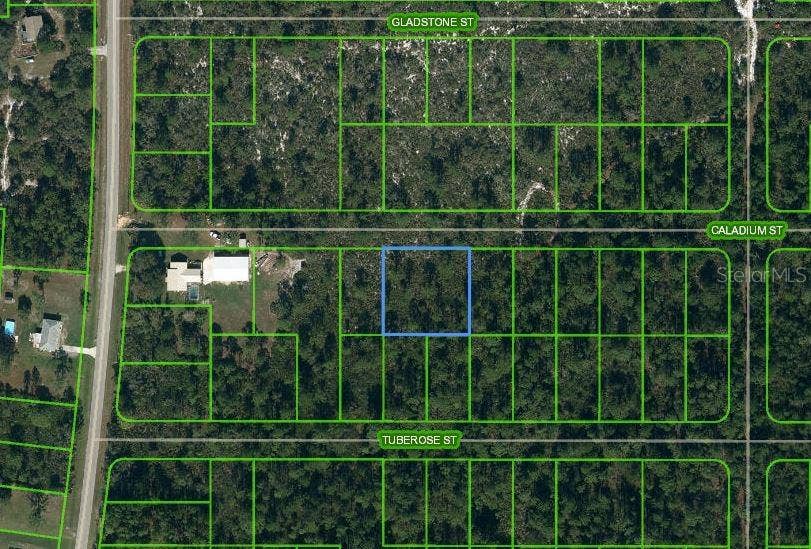 Property photo for 1411 CALADIUM STREET, Lake Placid, FL