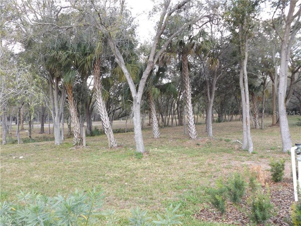 10490 VENTURA BLVD., Tampa, FL 33619 10490 VENTURA BLVD., Tampa, FL 33619