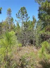 Property photo for SALYERS ROAD, Clermont, FL