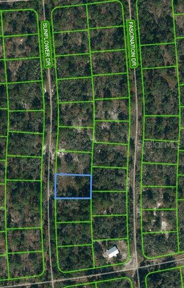 Property photo for 249 SUNFLOWER AVENUE, Lake Placid, FL