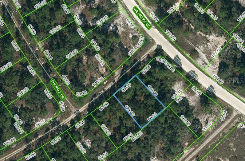Property photo for 391 CARTIER AVENUE, Lake Placid, FL