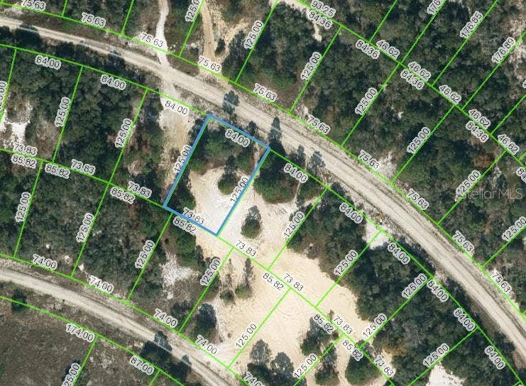 Property photo for 463 MORNINGSIDE DRIVE, Lake Placid, FL