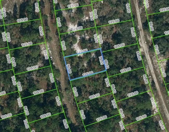 Property photo for 217 BLUE HORIZON DRIVE, Lake Placid, FL