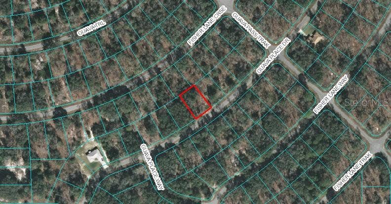 Property photo for 00 GUAVA PLACE DRIVE, Ocklawaha, FL