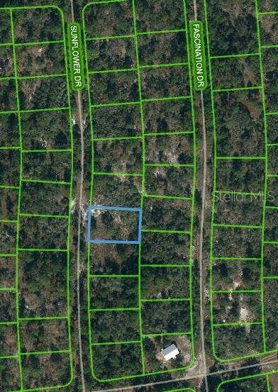 Property photo for 253 SUNFLOWER AVENUE, Lake Placid, FL
