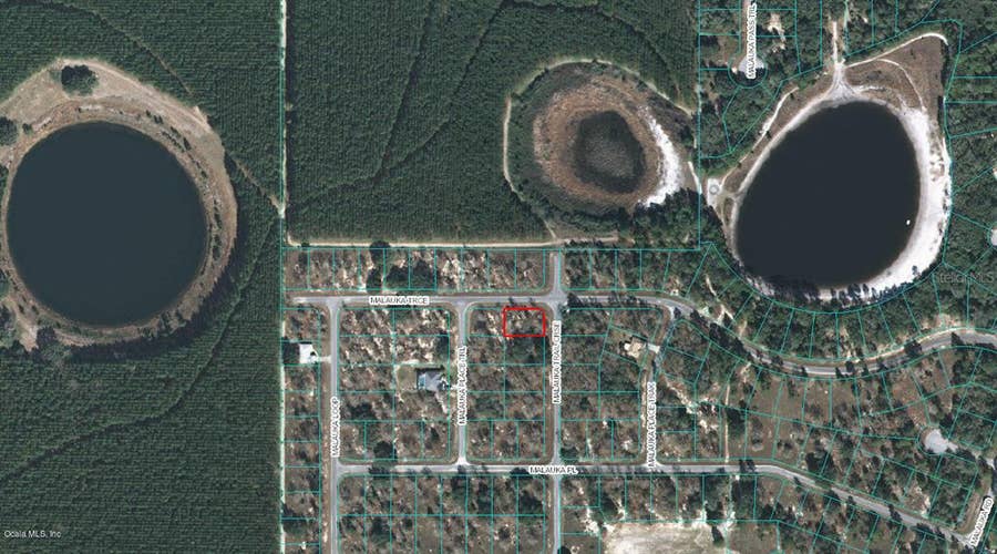 Property photo for 00 MALAUKA TRAIL COURSE, Ocklawaha, FL