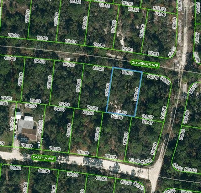 Property photo for 341 GLENBRIER AVENUE, Lake Placid, FL