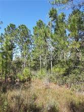 Property photo for SALYERS ROAD, Clermont, FL