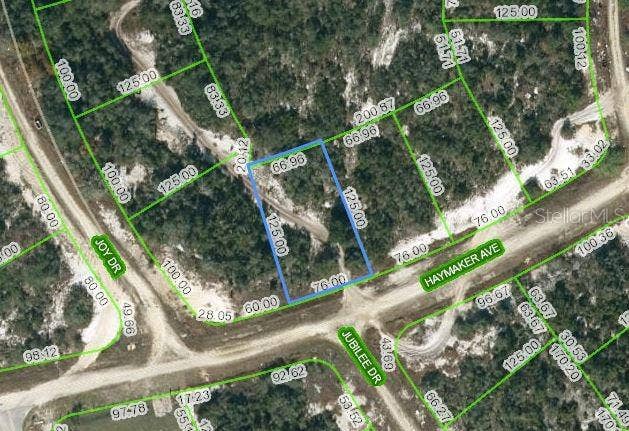 Property photo for 488 HAYMAKER AVENUE, Lake Placid, FL