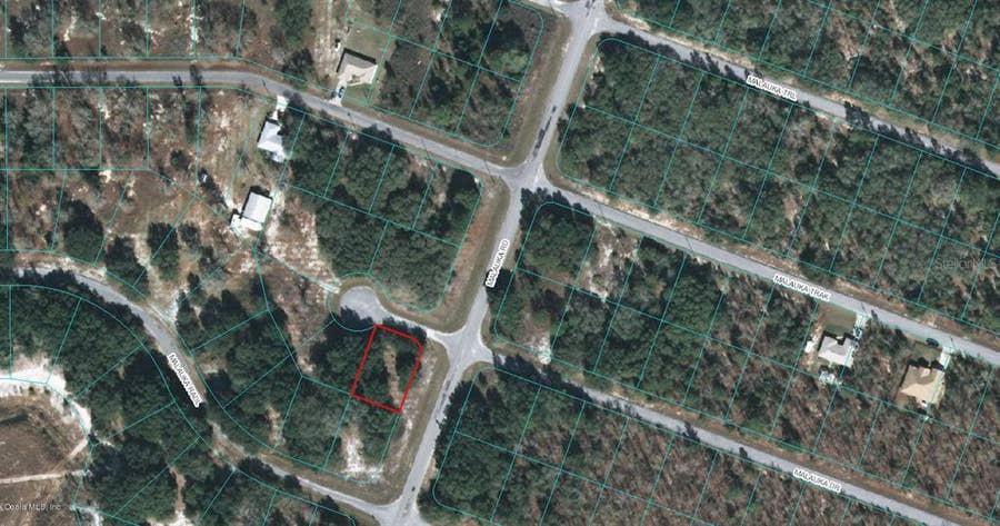 Property photo for 00 MALAUKA DRIVE, Ocklawaha, FL
