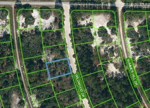 Property photo for 366 WILDWOOD DRIVE, Lake Placid, FL