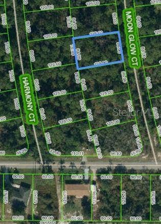 Property photo for 216 MOON GLOW COURT, Lake Placid, FL