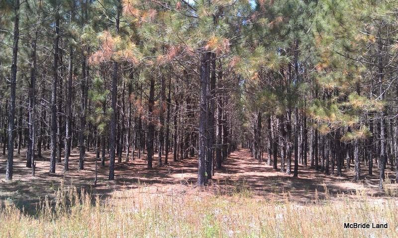 17001 SW HIGHWAY 484, Dunnellon, FL 34432 17001 SW HIGHWAY 484, Dunnellon, FL 34432