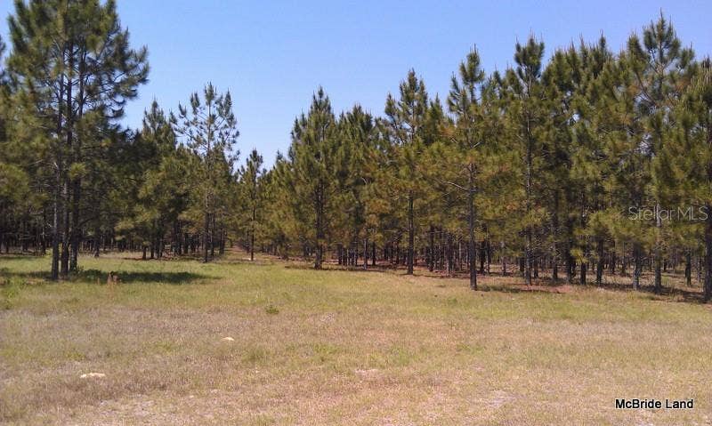 17001 SW HIGHWAY 484, Dunnellon, FL 34432 17001 SW HIGHWAY 484, Dunnellon, FL 34432