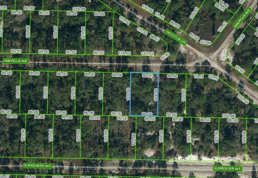 Property photo for 427 AMOROUS AVENUE, Lake Placid, FL