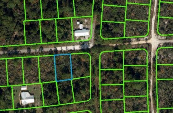 Property photo for 239 ELEANOR BOULEVARD, Lake Placid, FL