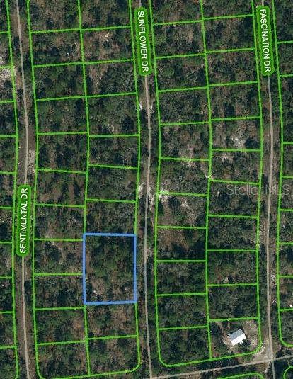 Property photo for 244 SUNFLOWER DRIVE, Lake Placid, FL