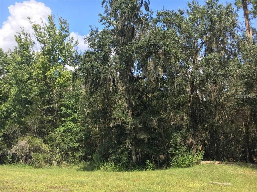 Property photo for 41025 E 20TH PLACE, Myakka City, FL