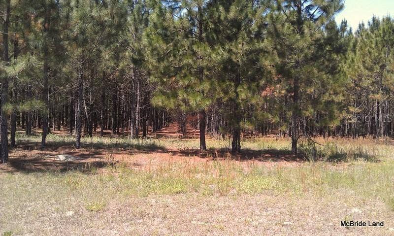 17001 SW HIGHWAY 484, Dunnellon, FL 34432 17001 SW HIGHWAY 484, Dunnellon, FL 34432