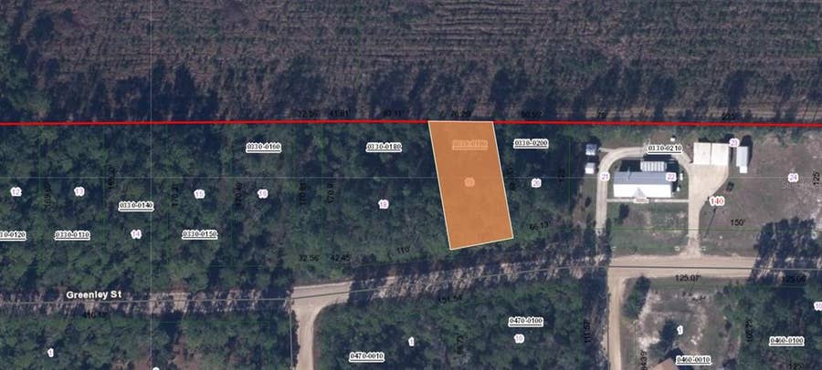 Property photo for 00 GREENLEY STREET, Interlachen, FL
