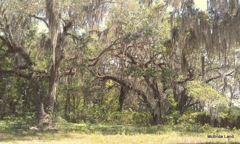 17001 SW HIGHWAY 484, Dunnellon, FL 34432 17001 SW HIGHWAY 484, Dunnellon, FL 34432
