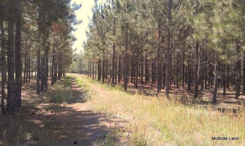 17001 SW HIGHWAY 484, Dunnellon, FL 34432 17001 SW HIGHWAY 484, Dunnellon, FL 34432