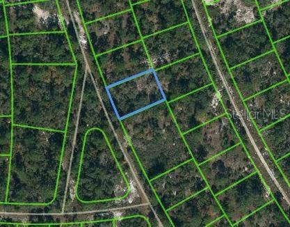 Property photo for 387 BLUE HORIZON DRIVE, Lake Placid, FL