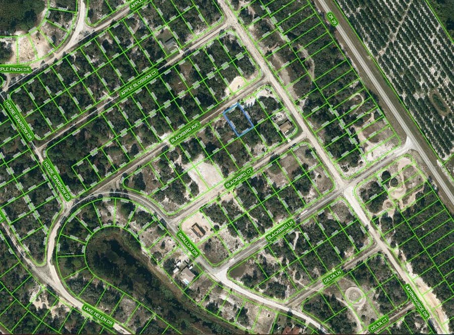 Property photo for 455 BLACKBIRD AVENUE, Lake Placid, FL