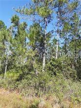 Property photo for S FORK RANCH DRIVE, Clermont, FL