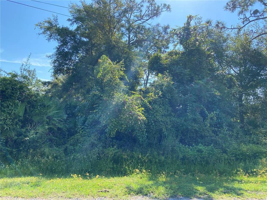 Property photo for MORGAN PAPER STREET, Deltona, FL