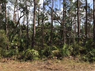 Property photo for LOLLY ROAD, North Port, FL