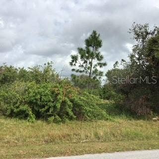 Property photo for PERENNIAL ROAD, North Port, FL