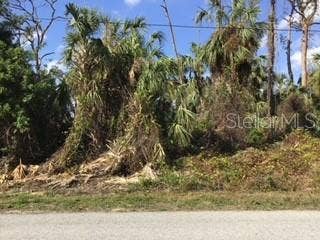 Property photo for JEANNIN DRIVE, North Port, FL