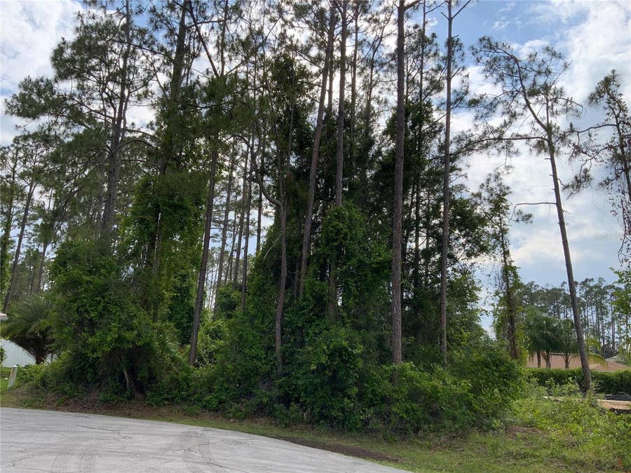 Property photo for 10 RIPTON PLACE, Palm Coast, FL