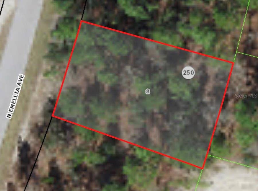 Property photo for 9819 N EMELLIA AVENUE, Citrus Springs, FL