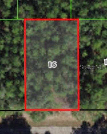 Property photo for 368 E MC FADDIN PLACE, Citrus Springs, FL