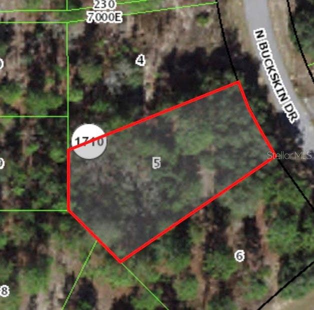 Property photo for 6664 N BUCKSKIN DRIVE, Citrus Springs, FL