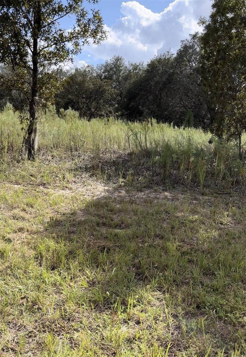Property photo for 1656 W HAMPSHIRE BOULEVARD, Citrus Springs, FL