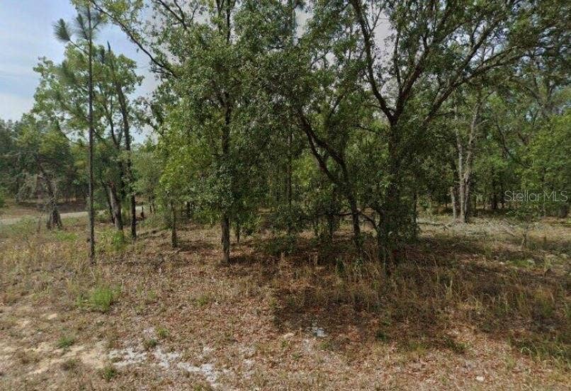 Property photo for 1592 W SWANSON DRIVE, Citrus Springs, FL
