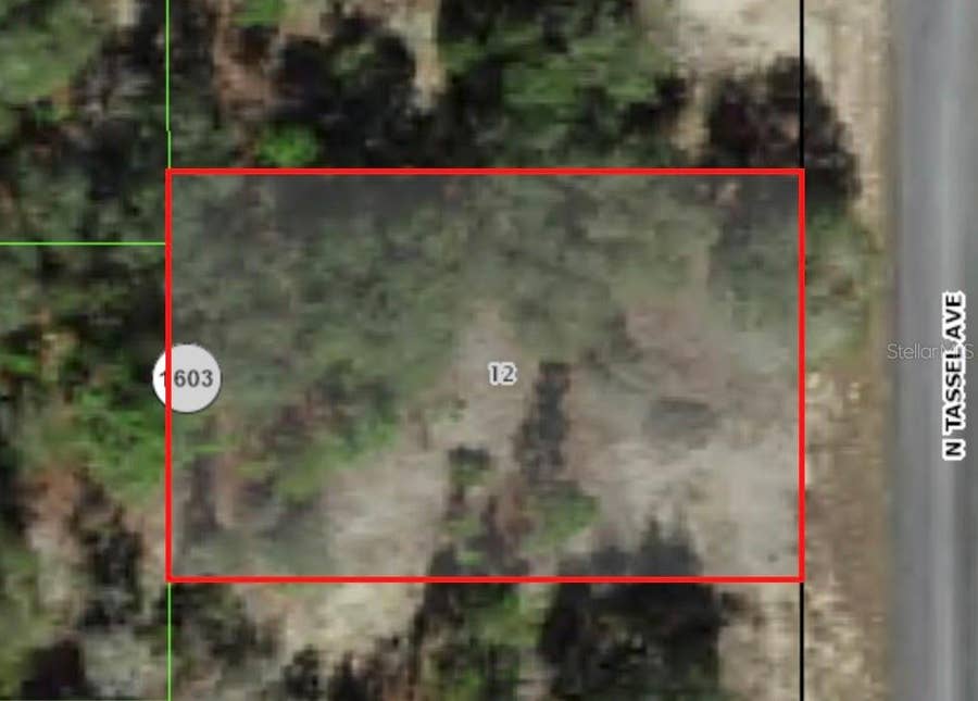 Property photo for 6706 N TASSEL TERRACE, Citrus Springs, FL