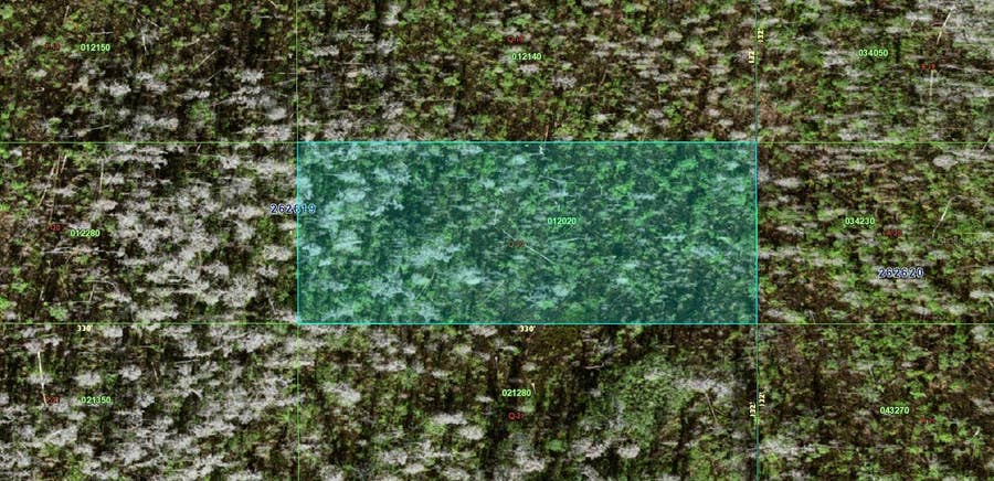 Property photo for 0 OLD GRADE ROAD, Polk City, FL