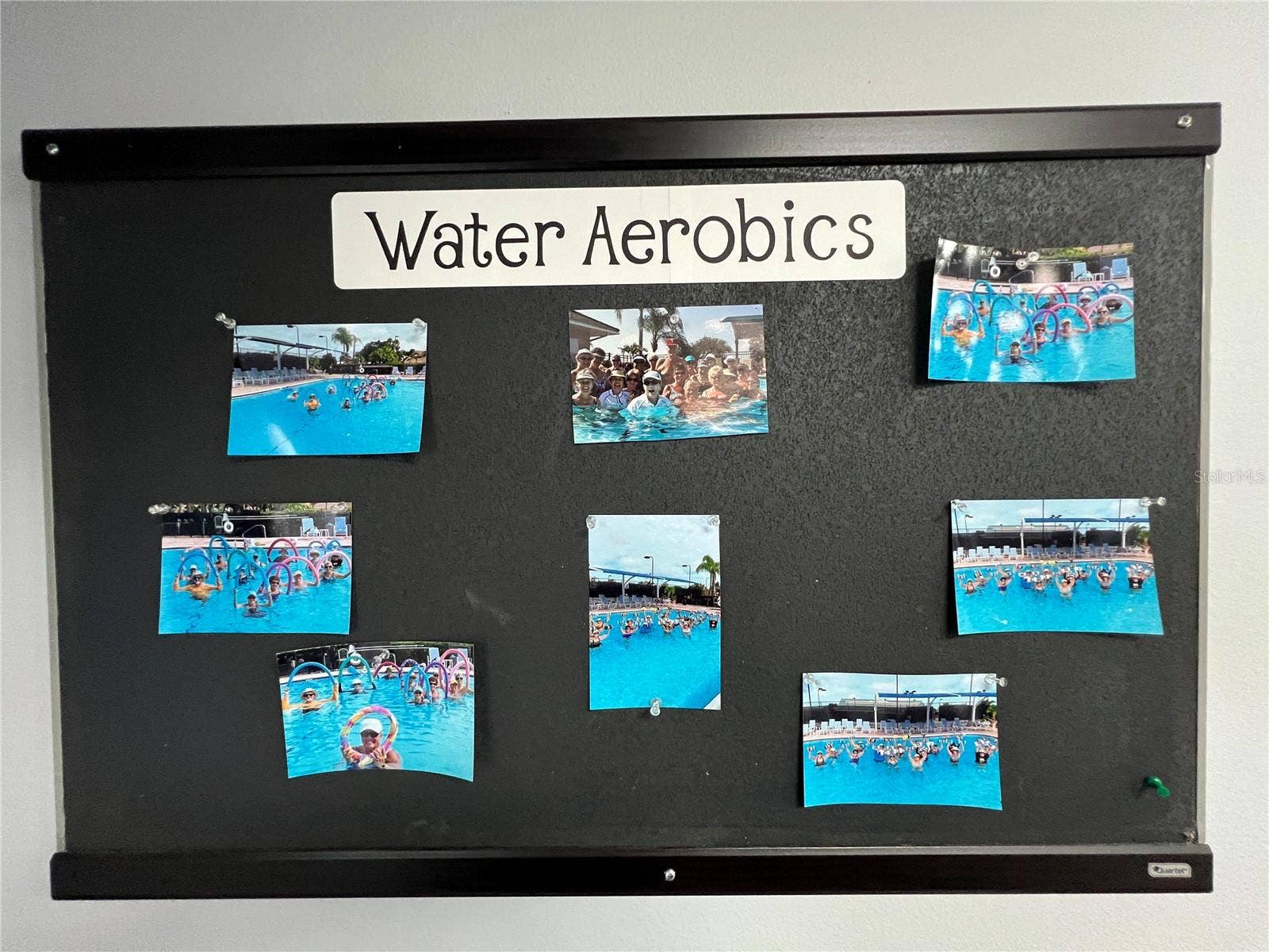 6713 STONE RIVER ROAD, #205, Bradenton, FL 34203 Activities