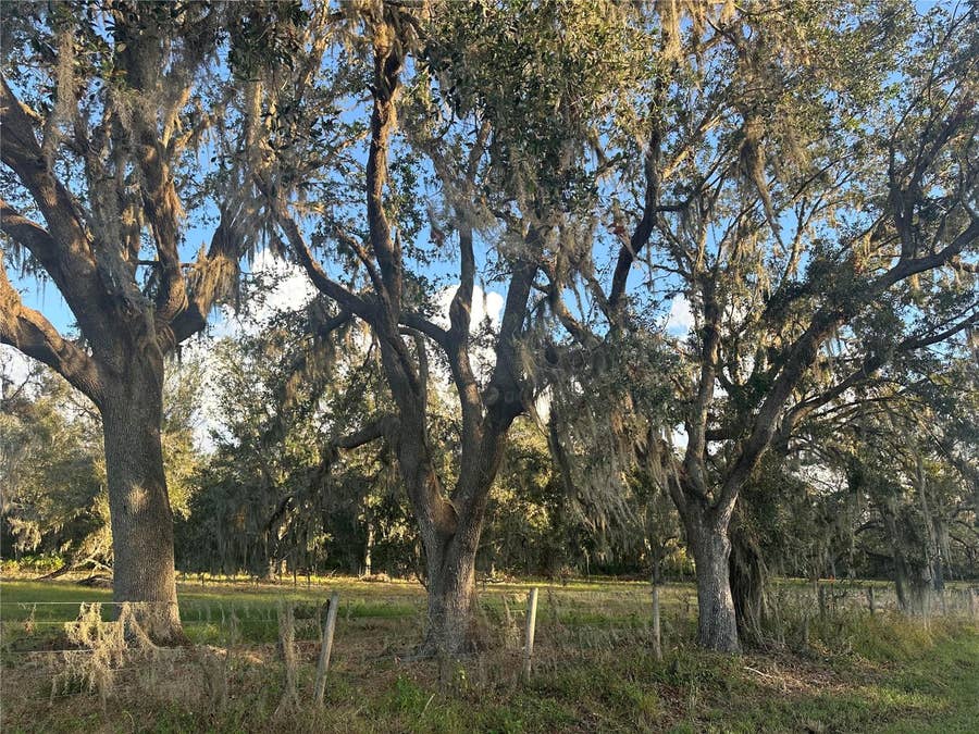 Property photo for 0 POLK ROAD, Wauchula, FL
