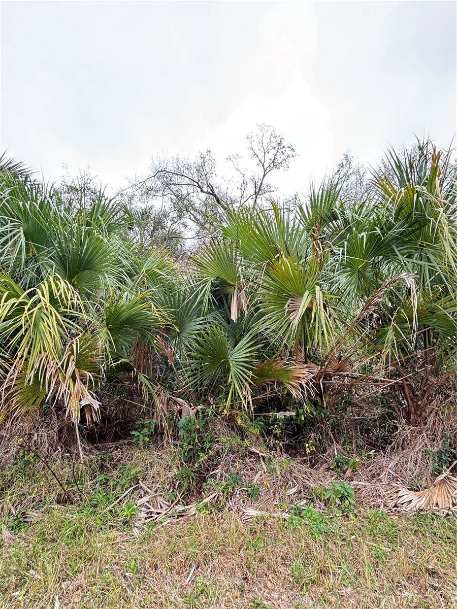 Property photo for North Port, FL