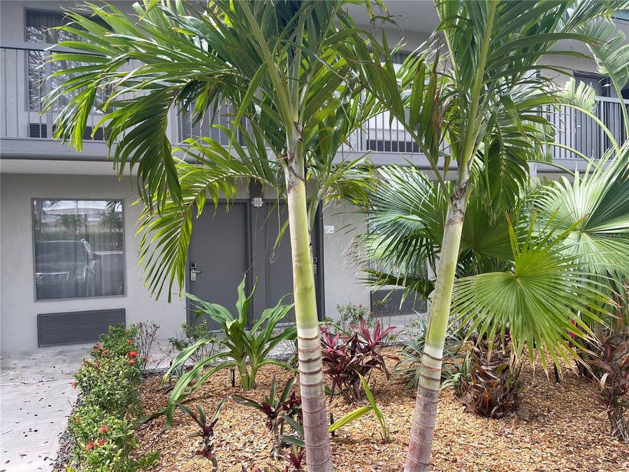Property photo for 7150 N TAMIAMI TRAIL, #S510, Sarasota, FL