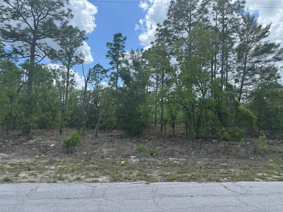 Property photo for 2984 W LIZA PLACE, Dunnellon, FL