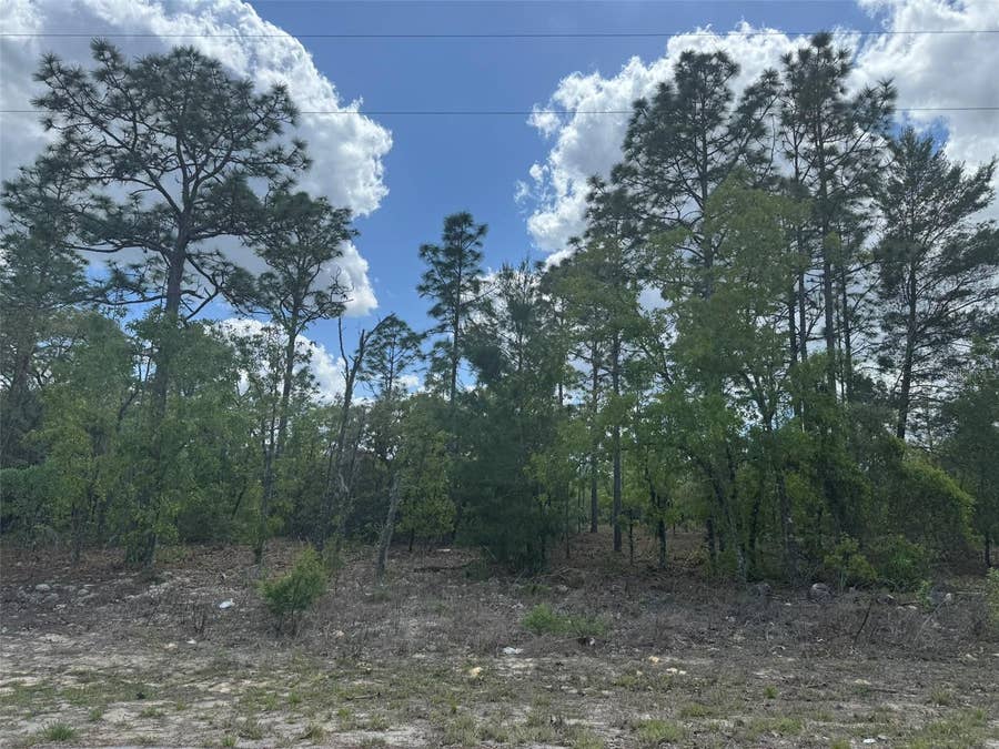 Property photo for 3000 W LIZA PLACE, Dunnellon, FL
