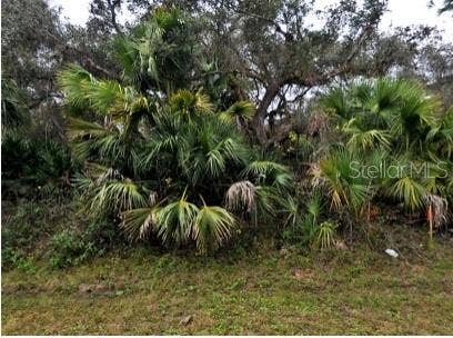 Property photo for BABROFF TERRACE, North Port, FL