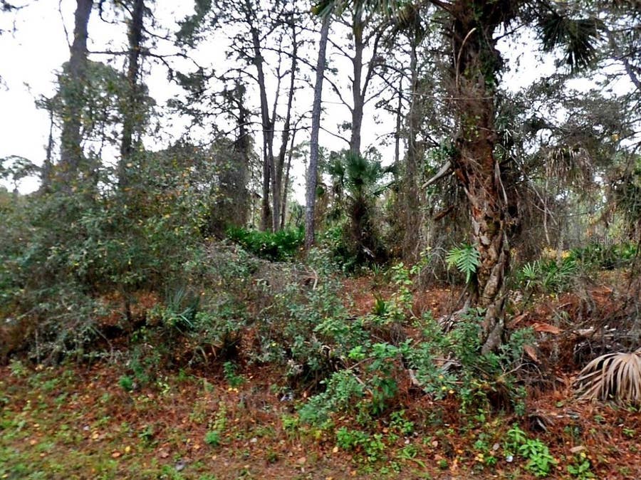 Property photo for LADY SLIPPER AVE., North Port, FL